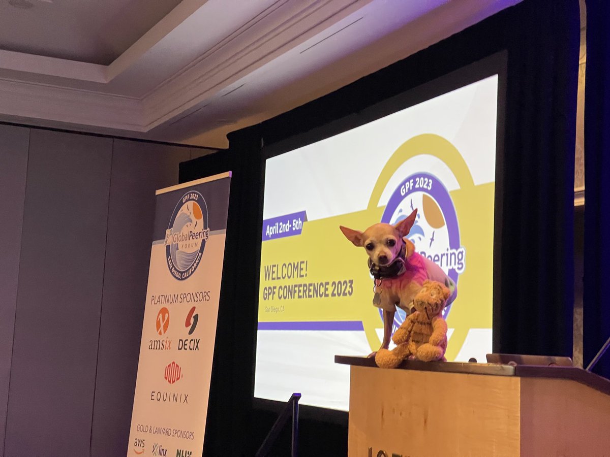 datacenterdog (@datacenterdog) on Twitter photo Wow! Day 1 of #GPF2023! Ran in to my old pal Tigger. #GPF #GlobalPeeringForum <a href="/netactuate/">NetActuate</a> Wow! Day 1 of #GPF2023! Ran in to my old pal Tigger. #GPF #GlobalPeeringForum <a href="/netactuate/">NetActuate</a>