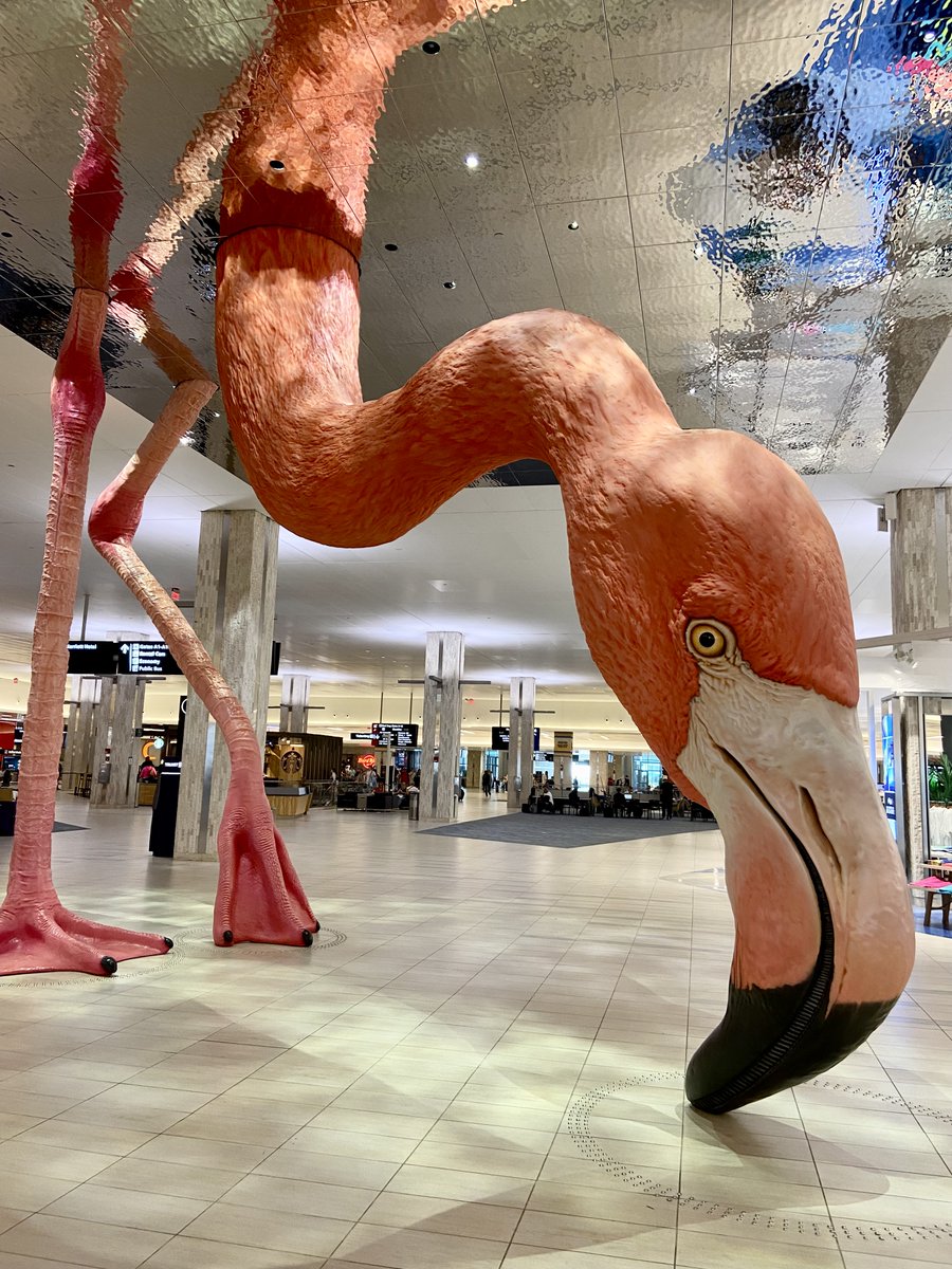 A successful #SnF23 is in the books. Thank you @FlyTPA for the serious art program goals with this outstanding #Flamingo installation. Can't wait to see everyone at #OSH23. We're in Hangar C! @SunnFunFlyIn @SnFRadio @eaaradio @EAA @jodyjaraczewski (Executive Air) @jetairgroup