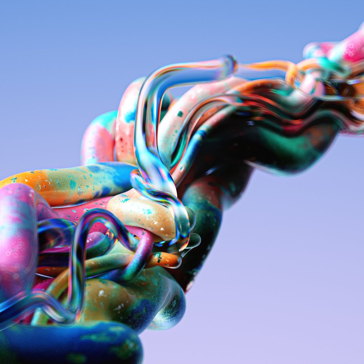 Wes Cockx tweet media