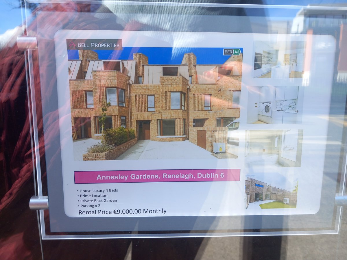 Sarah McKenna Dunne tweet media