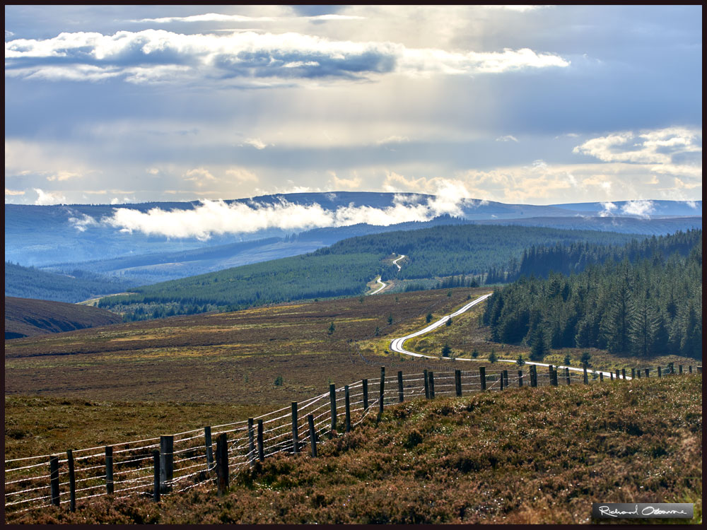 Blakehope Nick, Kielder Forest Drive, Northumberland. One of Britain's highest roads at over 1,500 feet, it is a taste of wild Scotland in England. 12 miles of unpaved, rough road - SUV's preferred - but the views are stunning. #landscapephotography