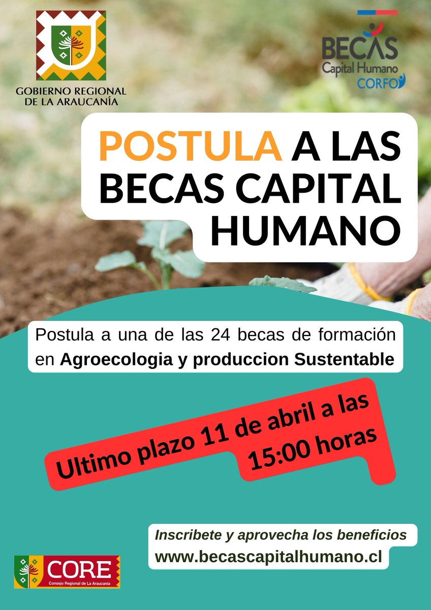 Corfo Araucanía tweet media