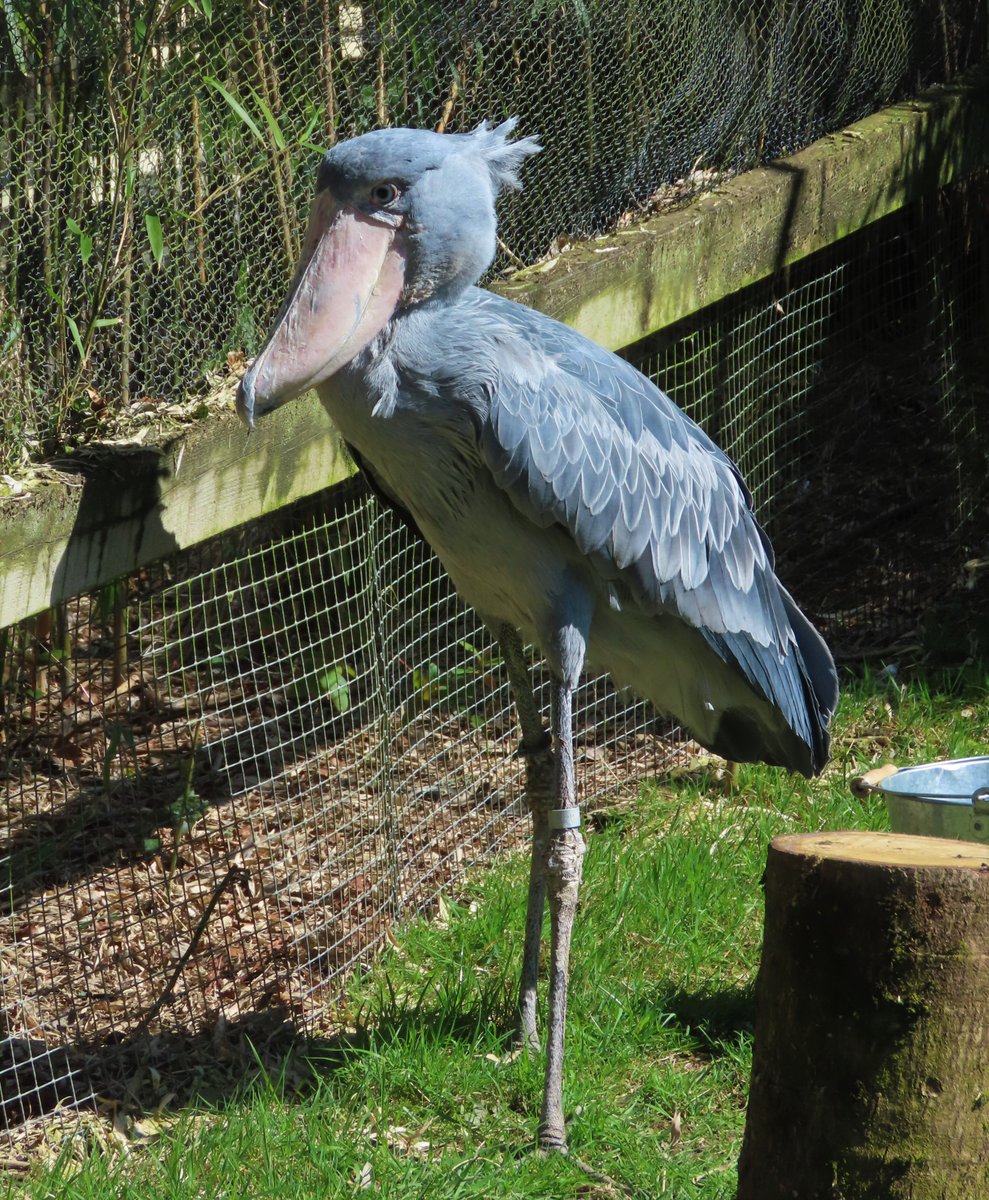 Tom Martin tweet media