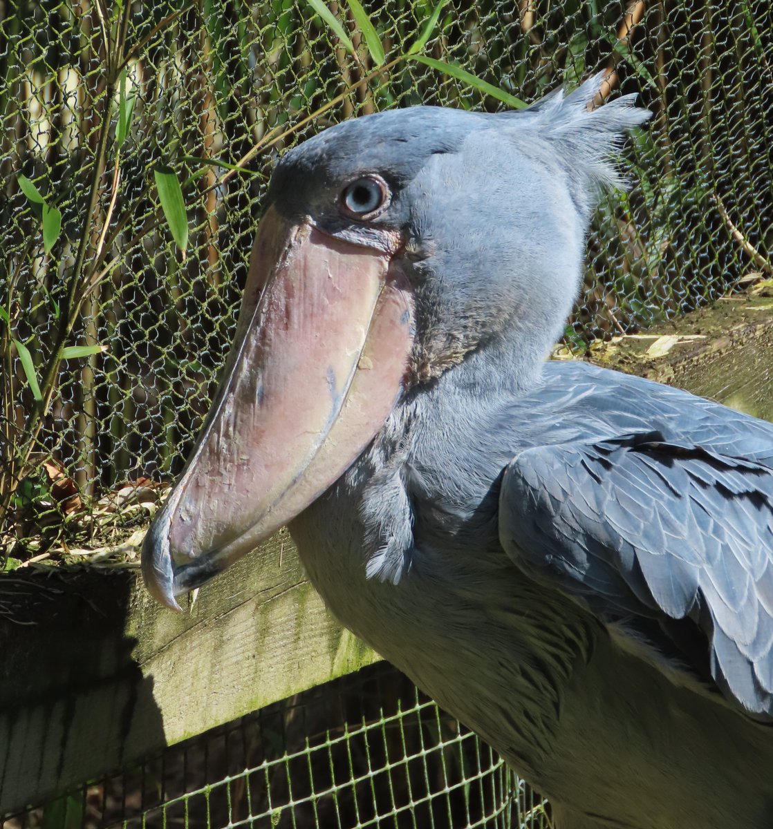 Tom Martin tweet media