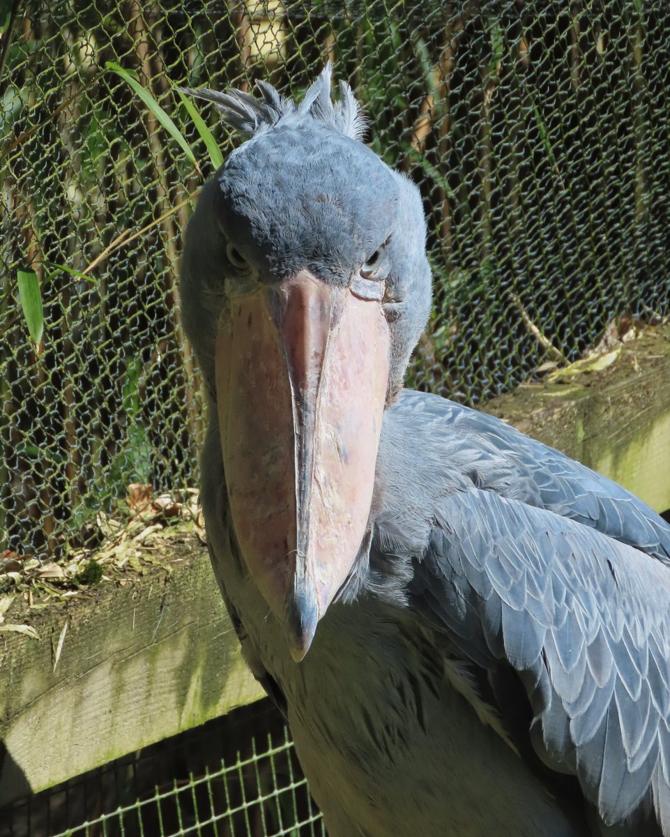 Tom Martin tweet media