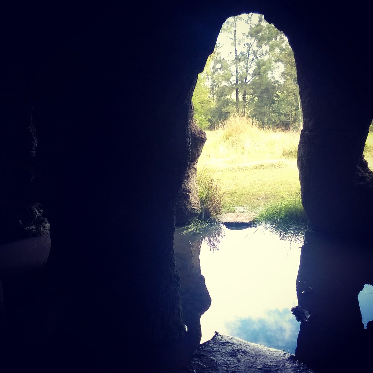 Esta semana es ideal para conocer las Grutas del Palacio, esa peculiar formación de cavernas cuya antigüedad data de 55 millones de años. Es un Área Protegida con cantina, centro de visitantes, museo y senderos para recorrer. 
📞43645654 
#TurismoenSemanaSanta #Flores