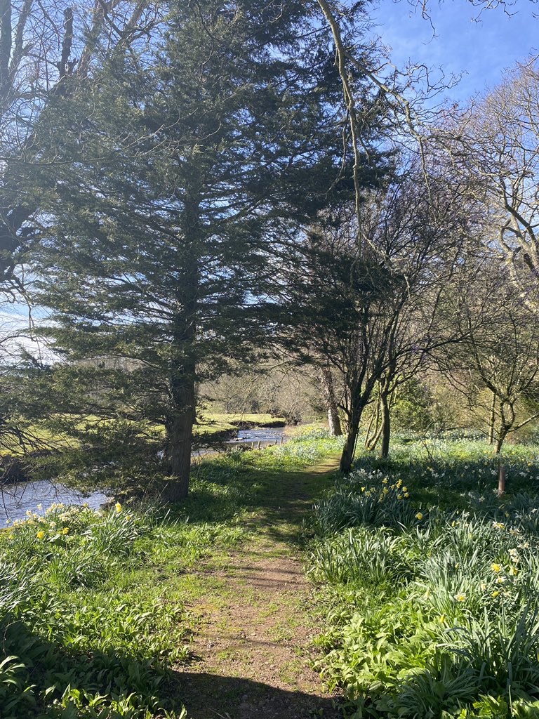 A wonderful day out at <a href="/dalemainmansion/">Dalemain Mansion</a> for the cosy team! cosynookcottage.co.uk