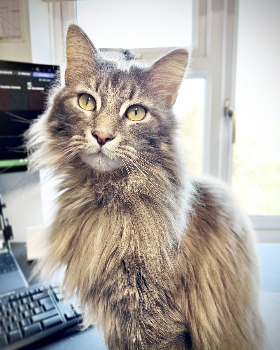 Dale Wordley tweet media