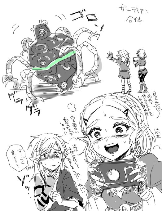 新機能で遊ぶゼルダ様 