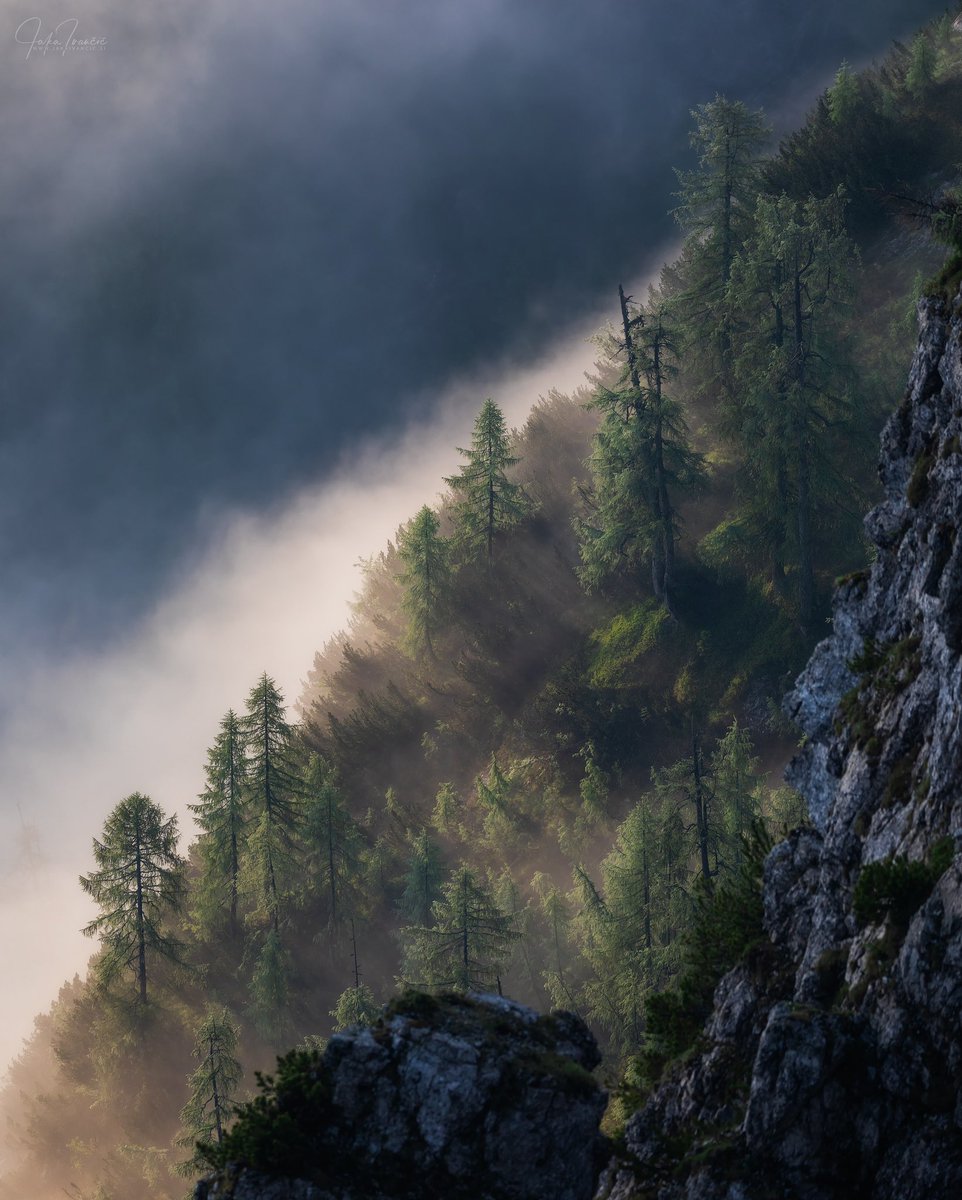 Morning mist. #triglavnationalpark #ifeelslovenia #slemenovaspica #spring #nature #alps #julianalps #travel #hike #hiking #landscapephotography #mountains #mountainflowers #natgeo #yourshotphotographer #bbctravel #landscape #travel