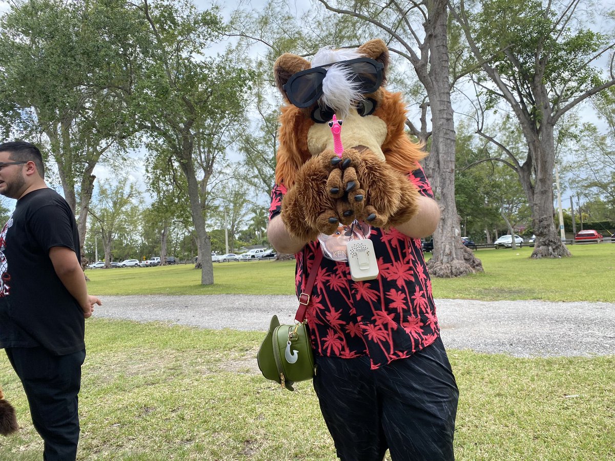 kenaicutebear's tweet photo. Had a fun time at the @MiamiDadeFurs meetup such a awesome time! https://t.co/KrDADom9zY