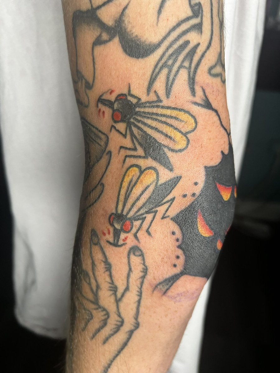 sueocidal's tweet photo. some permanent things https://t.co/wNEkyZRjwz