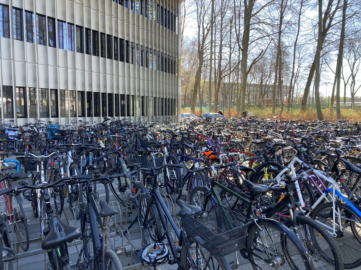 LarsDonath's tweet image. Student and colleagues! Enjoy the summer term 🤞☘️@SpohoKoeln!