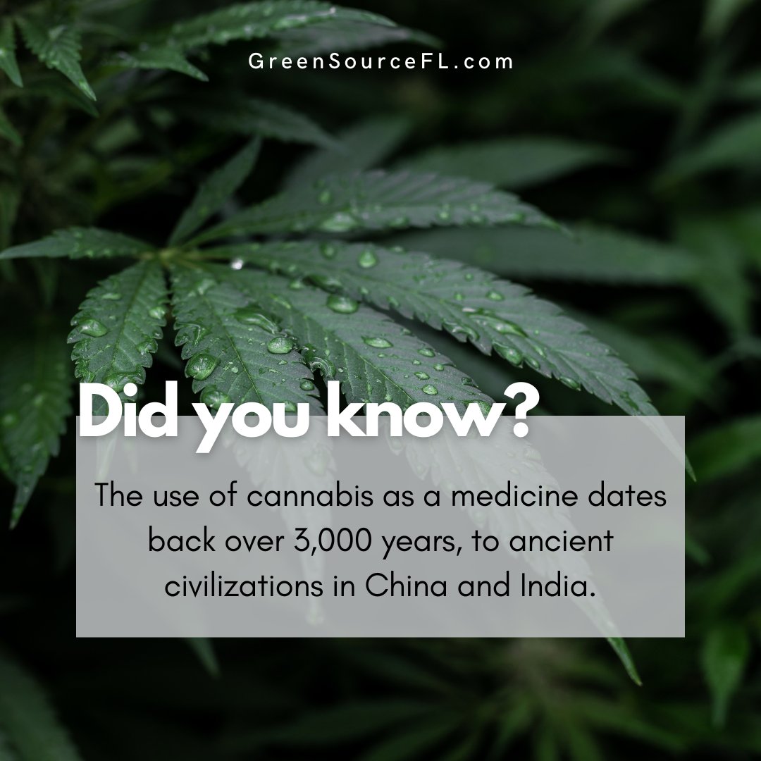 GreenSourceFL's tweet image. Have you been curious about the potential benefits of medical marijuana but not sure where to start? As a medical marijuana doctor in Florida, we're here to help you navigate the process and determine if this medicine is right for you!
