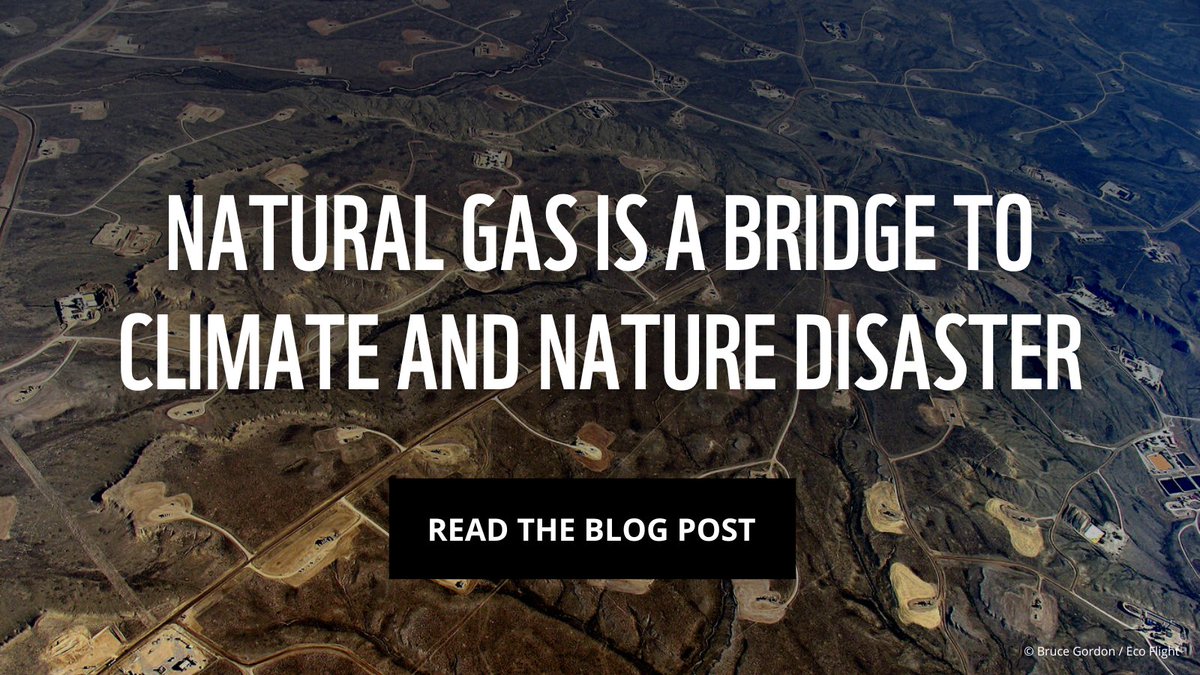 The science is clear: There is no more time for fossil fuels before the shift to renewables.

So why is gas still promoted as a so-called ‘transition fuel’? 🤔

We take a look at the mis-truths ⬇️
bit.ly/3Zp5CWn