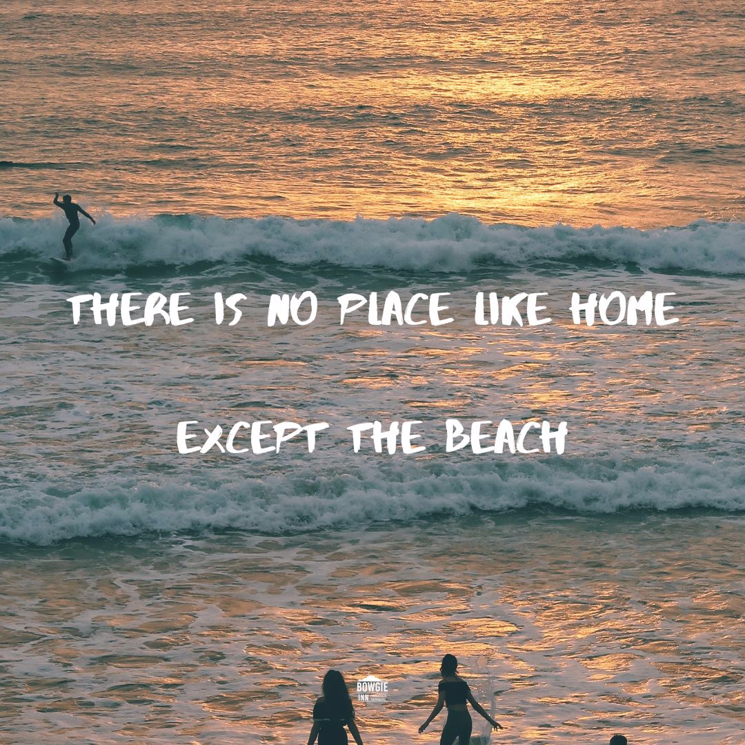 Bowgie Inn tweet media