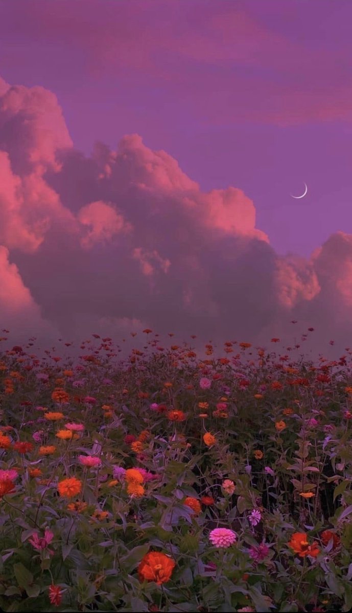 moonloverxjpg's tweet photo. luna con un campo de flores https://t.co/qO1EocGFBj