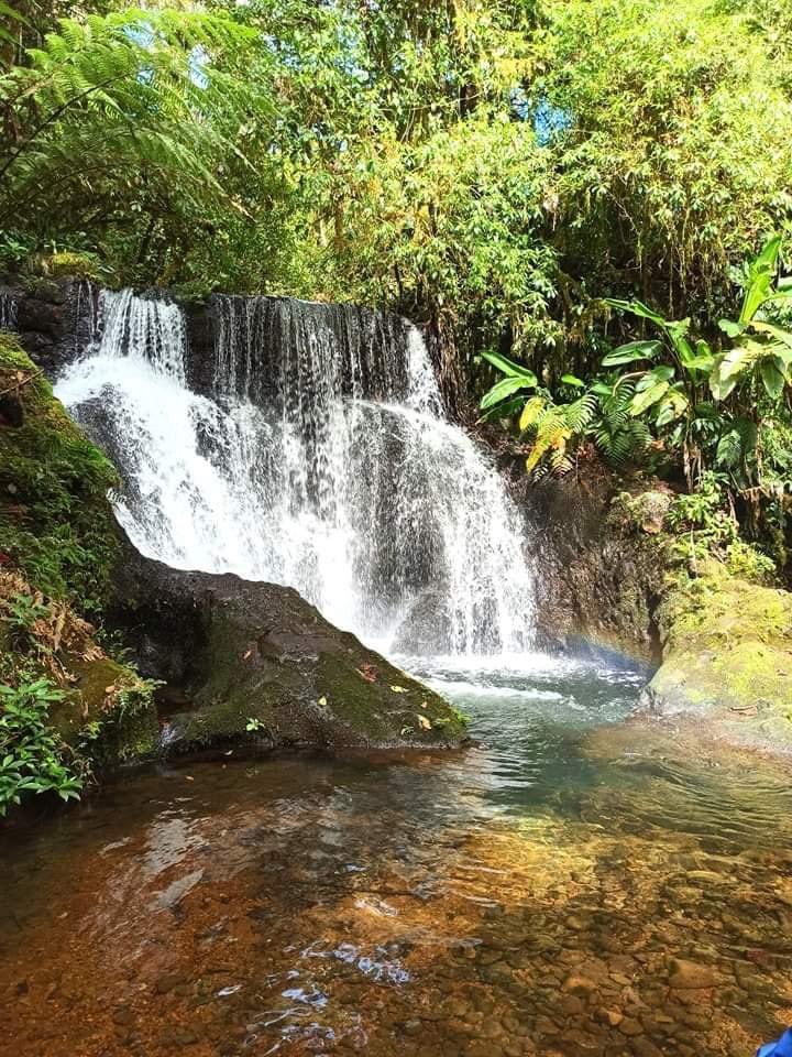 superfrog89's tweet photo. Buenos días ☀️ 

Les quiero recomendar esta excelente opción para ir a disfrutar en familia; si no les gusta el sol ☀️ y prefieren algo más Fresco y campestre🌳 

📍Macizonica, ubicado en la reserva natural Macizo de Peñas Blancas ⛰️ ubicado en el noroeste de Nicaragua https://t.co/GIqkU2W3dX