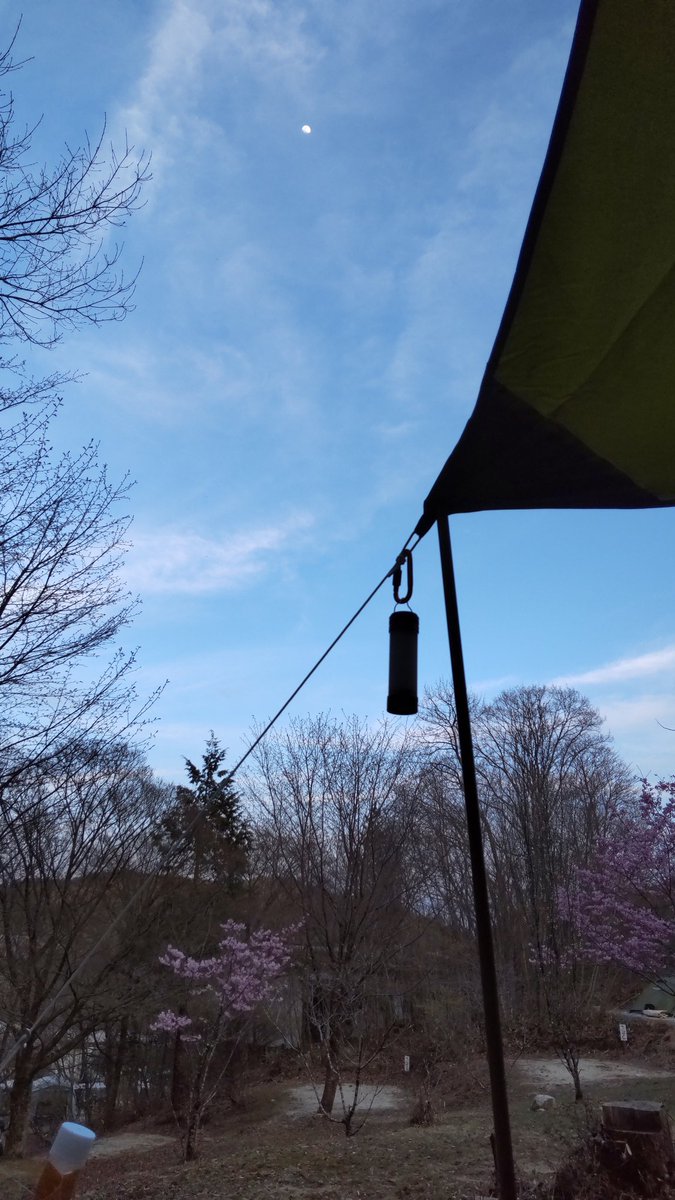 freerider_kj's tweet photo. 初ソロ。
よい桜。よい天気。よい朝。
次はどこにしようかな。
#三河高原キャンプ村 
#キャンプギア https://t.co/rUEHJT4pVd