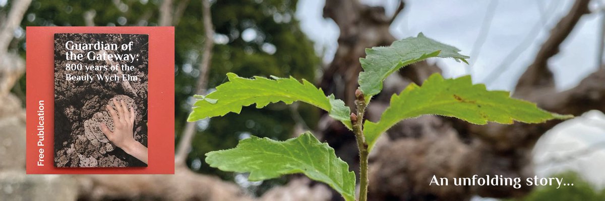 Circus Artspace tweet media