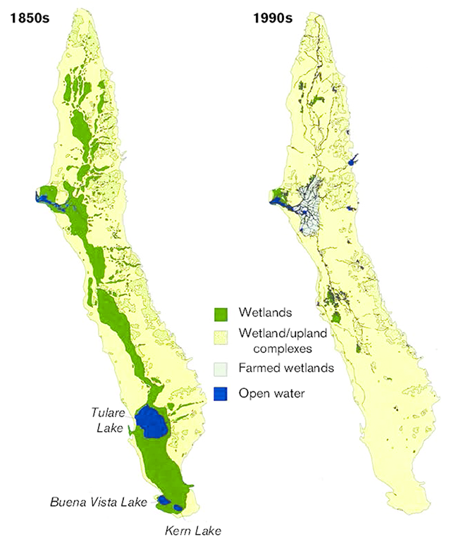 mmcphate's tweet photo. California’s Central Valley was once a watery landscape of lakes and marshes. Then we sucked it dry.

https://t.co/bBB9IYpNTA https://t.co/u7yHfyRWZG