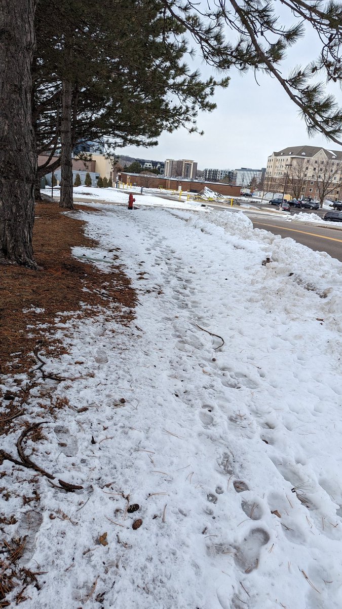 emijoyone's tweet photo. The city of Bloomington MN (@bloomington_mn ) hates disabled people, people who choose walking or biking, dog owners, etc https://t.co/FSwqtTfFmc
