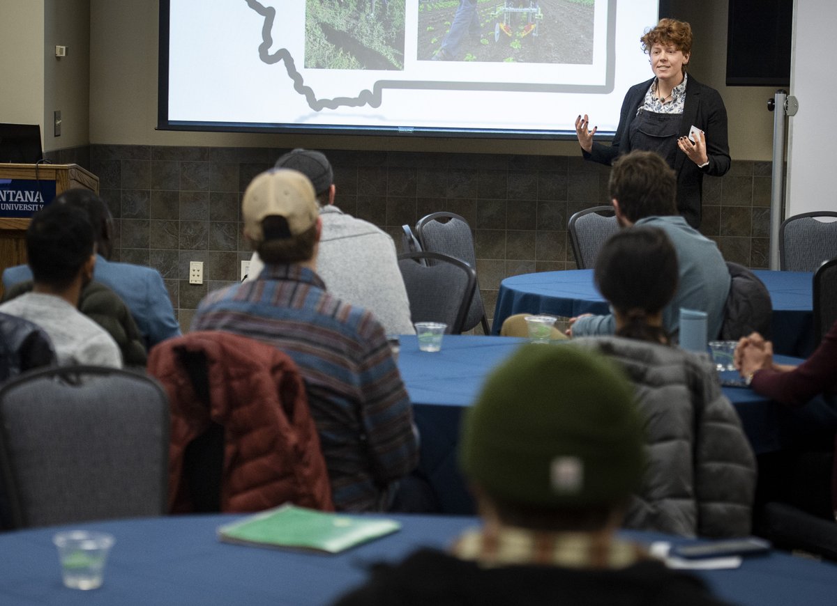 MSU College of Ag tweet media