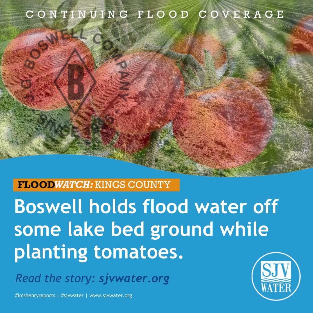 SJVWater's tweet photo. #sjvfloodwatch #kingscounty #jgboswell #sjvflooding #kingscountyflooding #tularelake @loishenry reports. #sjvwater Read the story: https://t.co/7Ndf9Uc06t https://t.co/a1y9GXSfnp