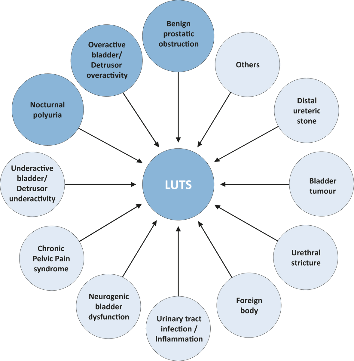 Lower urinary tract symptoms have traditionally been related to bladder outlet obstruction, mostly because of BPH. However, not only there are many potential causes of LUTS, but complaining of #maleLUTS, it's common for more than one of these factors to be present. #EAUguidelines