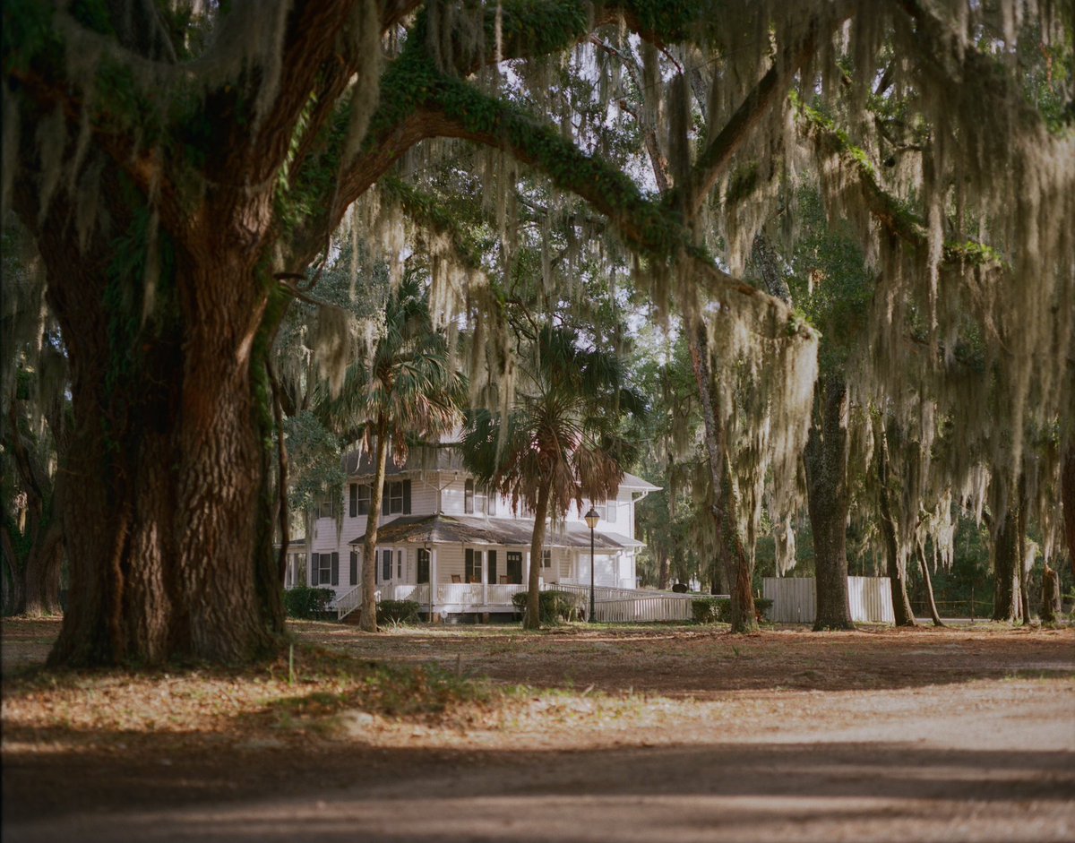 Rita Harper tweet media