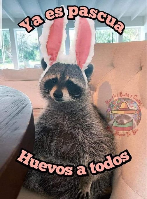 https://t.co/MxIguLdhzy<a href="/tag/fat"class="tags"><span>#fat</span></a><a href="/tag/siempre"class="tags"><span>#siempre</span></a><a href="/tag/creci"class="tags"><span>#creci</span></a>