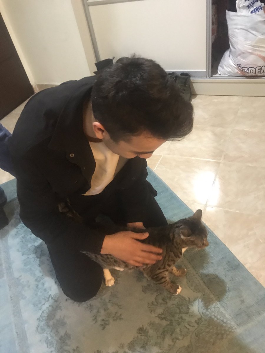 IslamAlper's tweet photo. feneri sevdik yüzümüzü güldürmedi bi  kedi aldık 1 haftadır yasamadığım mutluluğu yaşadım hepiniz hesap vereceksiniz #kadıkoyde10 https://t.co/VAgIewtCCu