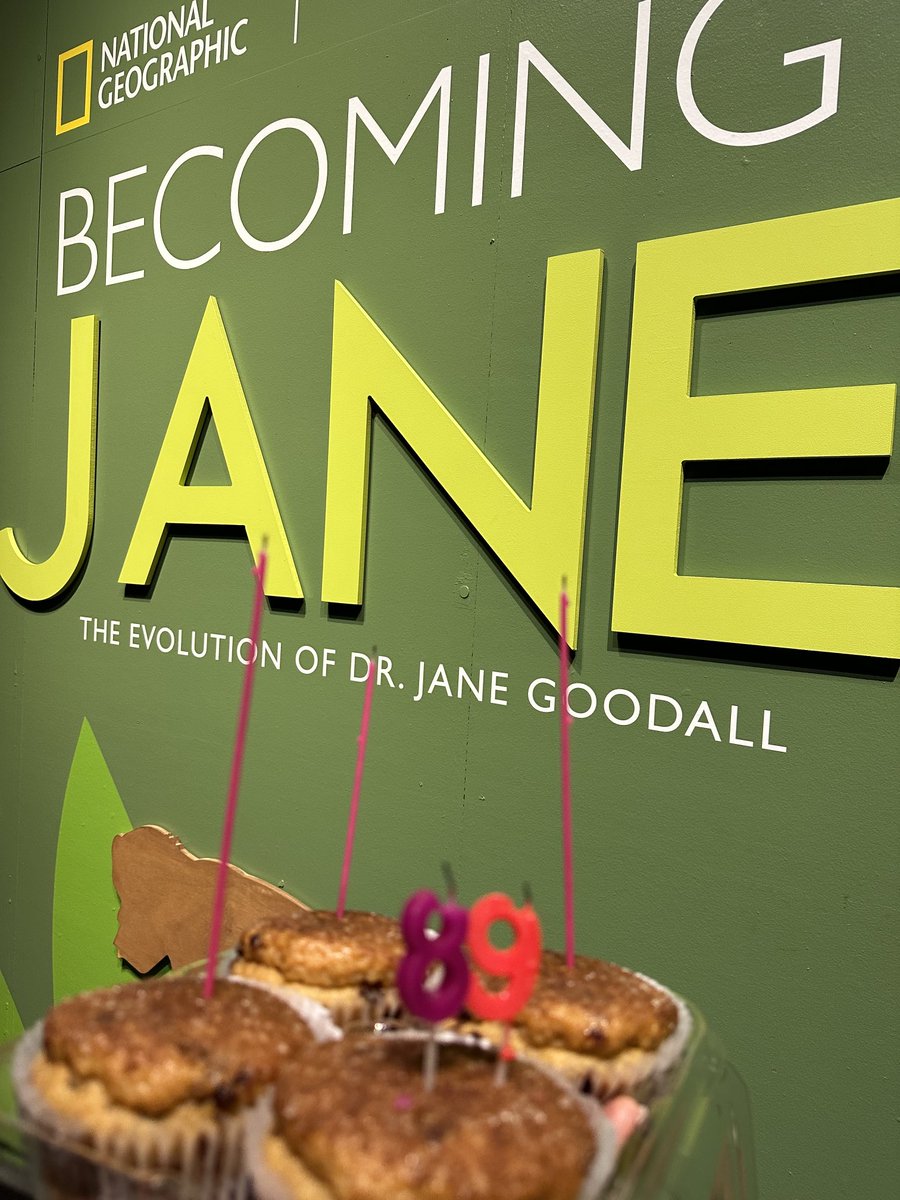 Happy Birthday Jane Goodall! We are so thrilled to be hosting this exhibit ⁦<a href="/STLScienceCtr/">Saint Louis Science Center</a>⁩ (only 1 week left so hurry in!)