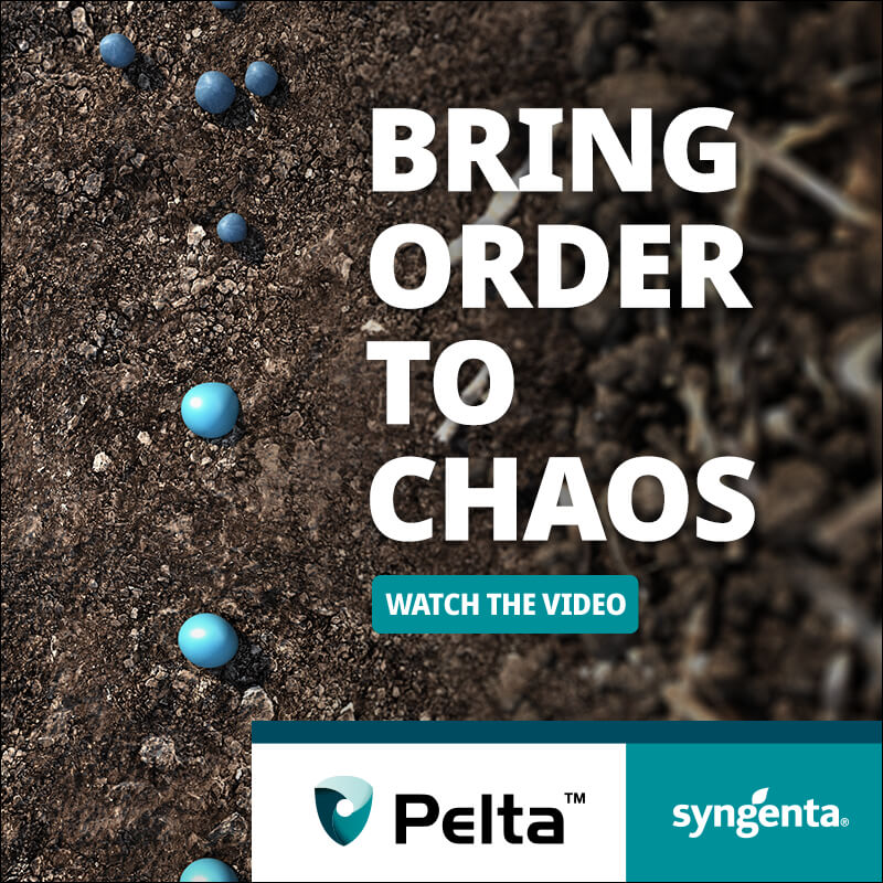 syngentacanada's tweet photo. New Pelta™ technology helps make canola seed size consistent. So now, there's less wasted potential and more profit in every bag. Get all the details now.