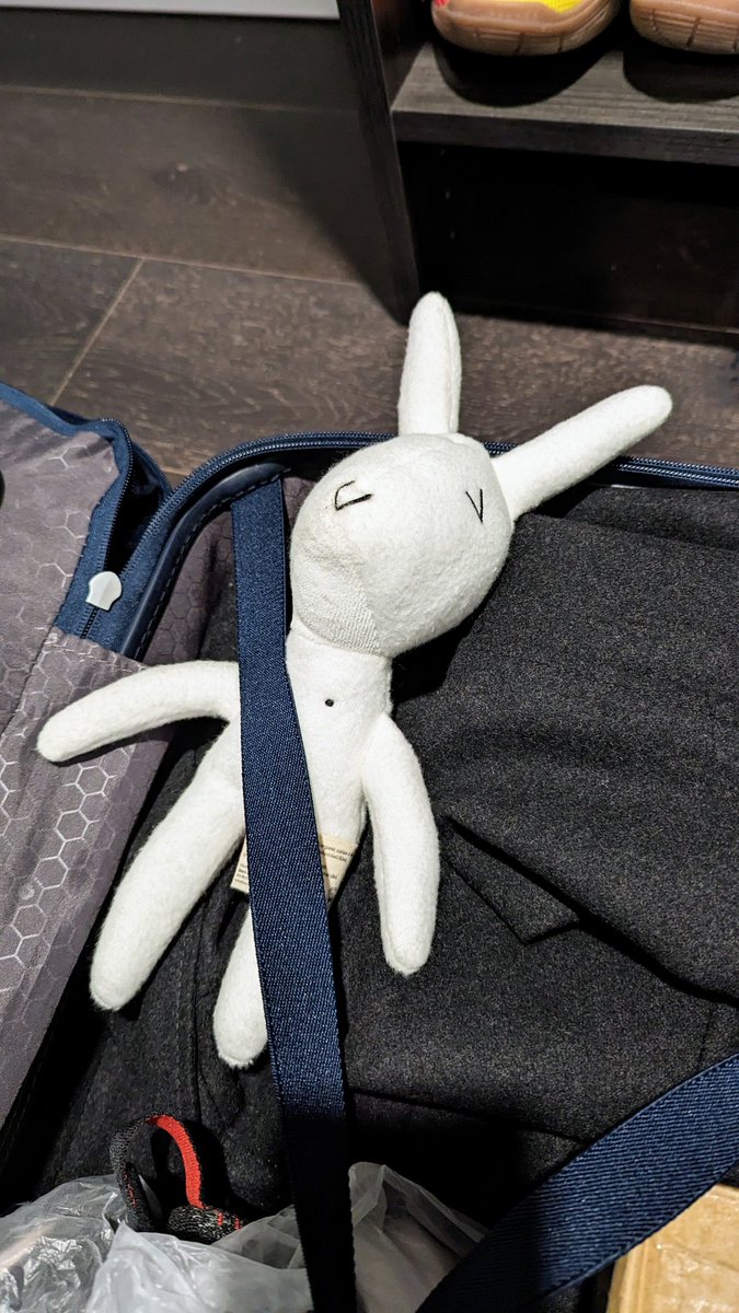 Suguma's tweet photo. Twin Fantasy dog here to remind you to wear your seat belt, because you never know when to expect Drunk Drivers. It doesn't have to be like this! @CSHMerch @carseatheadrest https://t.co/B2tmo491hk