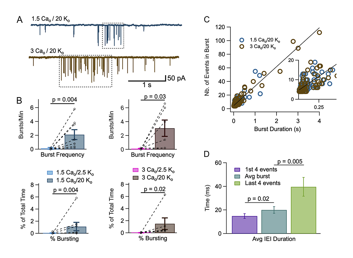JGenPhysiol's tweet image. Le Guellec, Gomez, Marty et al. @univ_paris_cite propose that bursts signal simultaneous pre- and postsynaptic calcium elevation in single synapses, and that they help synapse formation or stabilization. bit.ly/3Zxdl4x

#SignalTransduction #CellularPhysiology