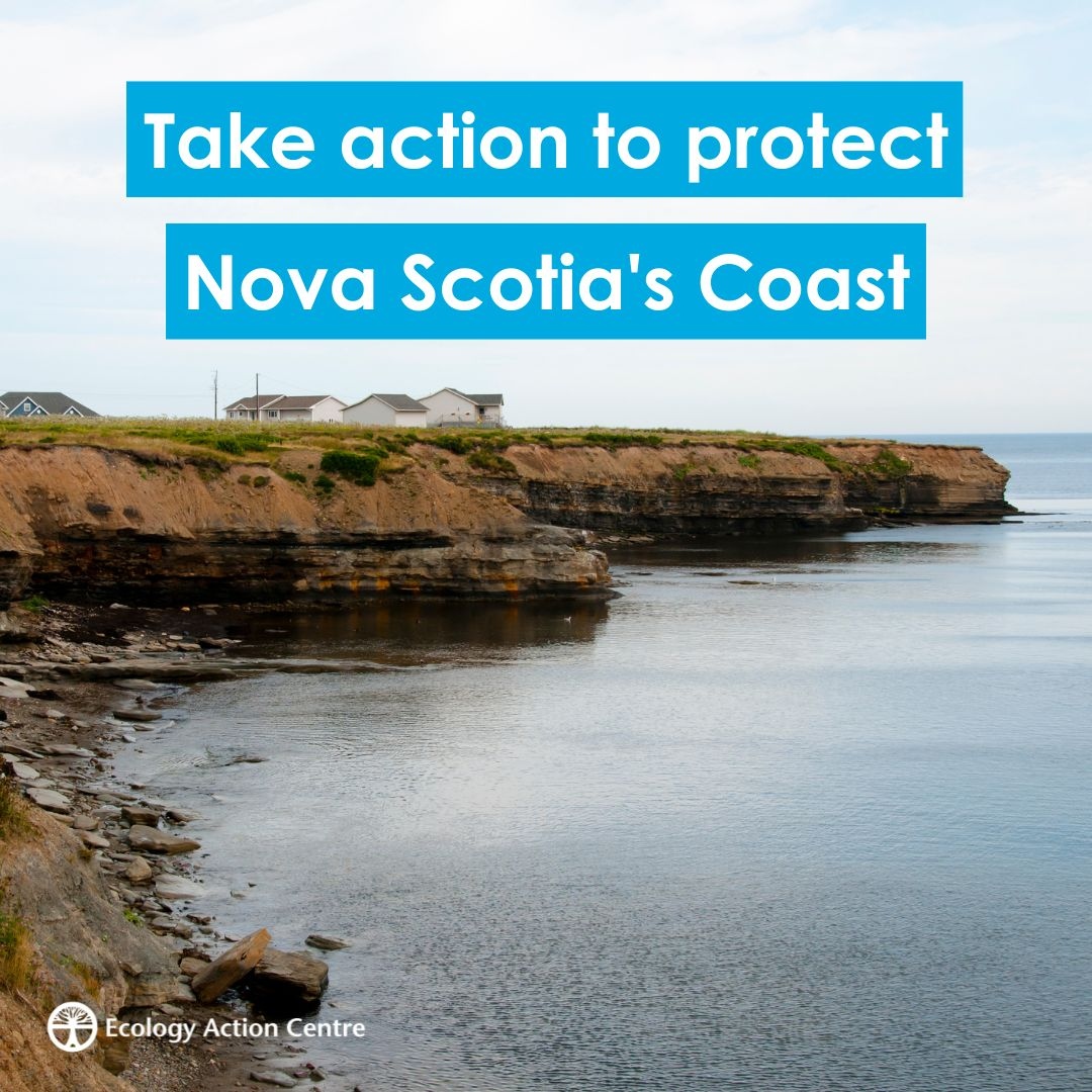 EcologyAction's tweet photo. Tell the province to get its Act together and protect our coast from unsafe development! 

Delaying the Coastal Protection Act regulations places our coastal communities at unacceptable risk. 

Send your message to decision makers 👉️ https://t.co/Arj4WH5sIK https://t.co/TX1dEKGtpX