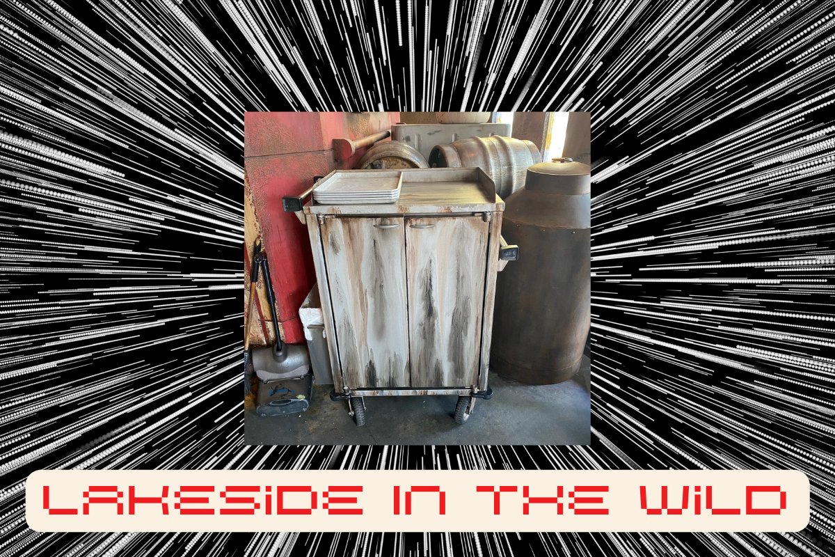 LAKESIDE IN THE WILD: Star Wars modified Lakeside cart in Disney