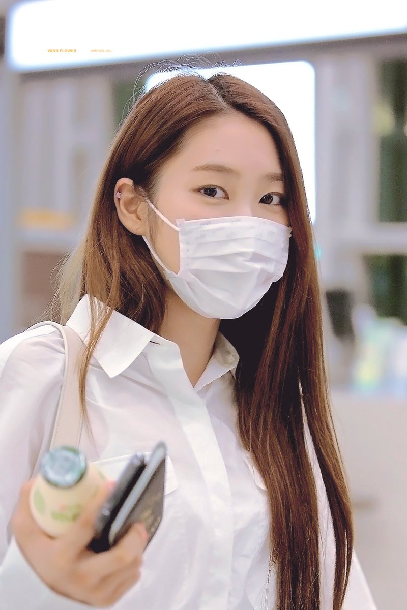 wind flower tweet media