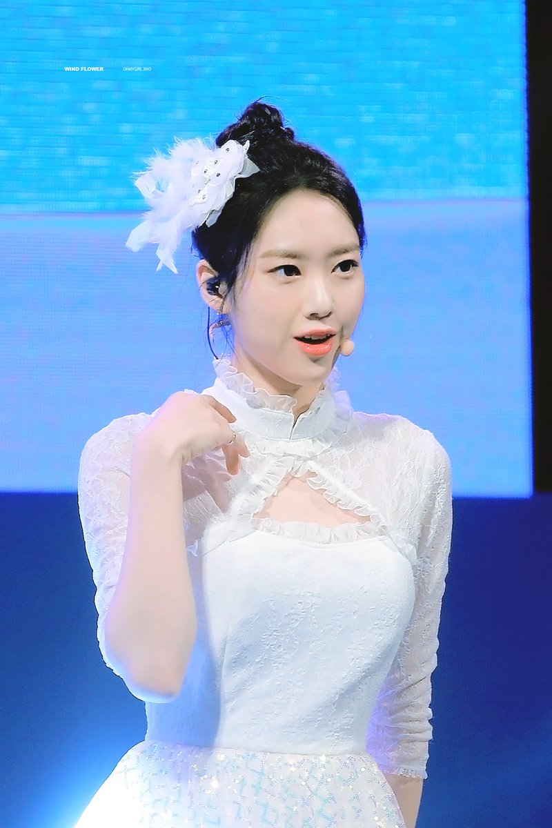 wind flower tweet media