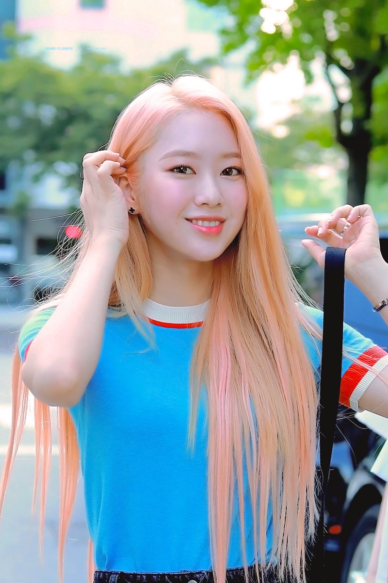 wind flower tweet media