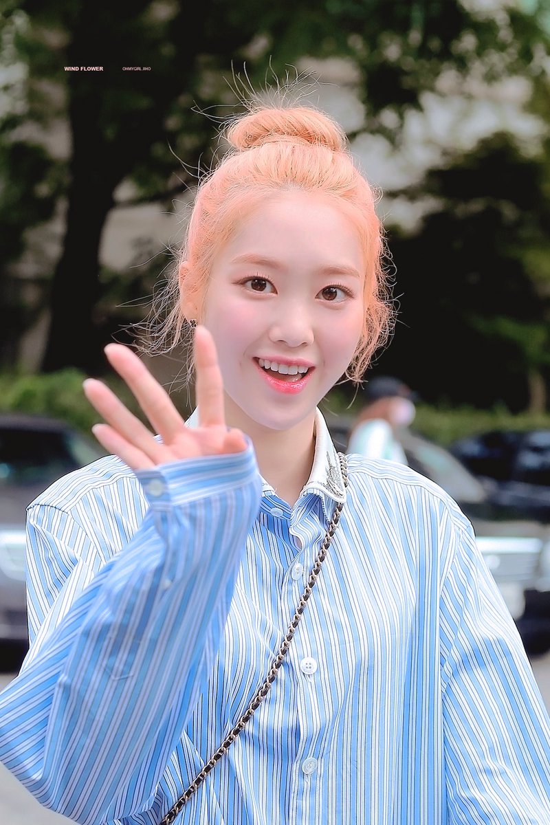 wind flower tweet media