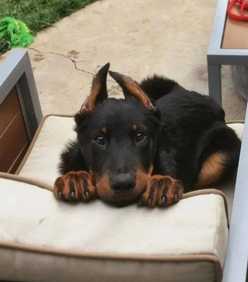 pedestrian's tweet photo. https://t.co/69cdwoojK1