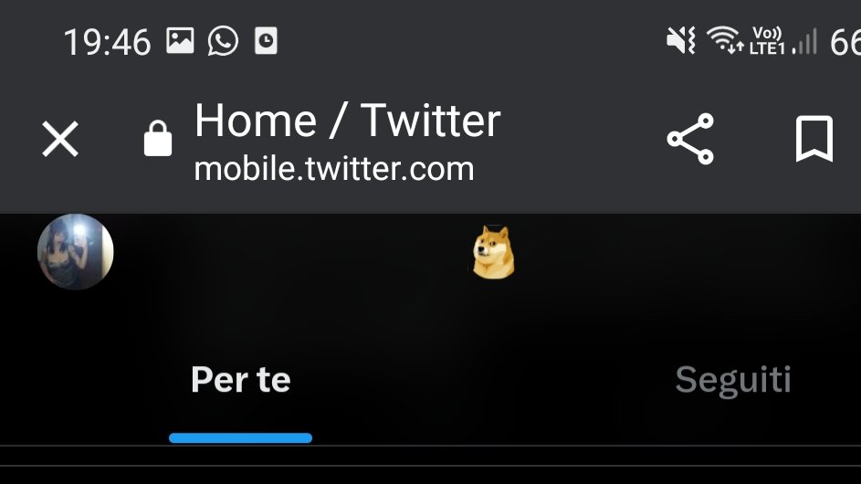 KitsuneL1's tweet photo. Why is that damn dog on the icon is El0n really this stuck on 2012 humor? https://t.co/8cStyeiQ3i