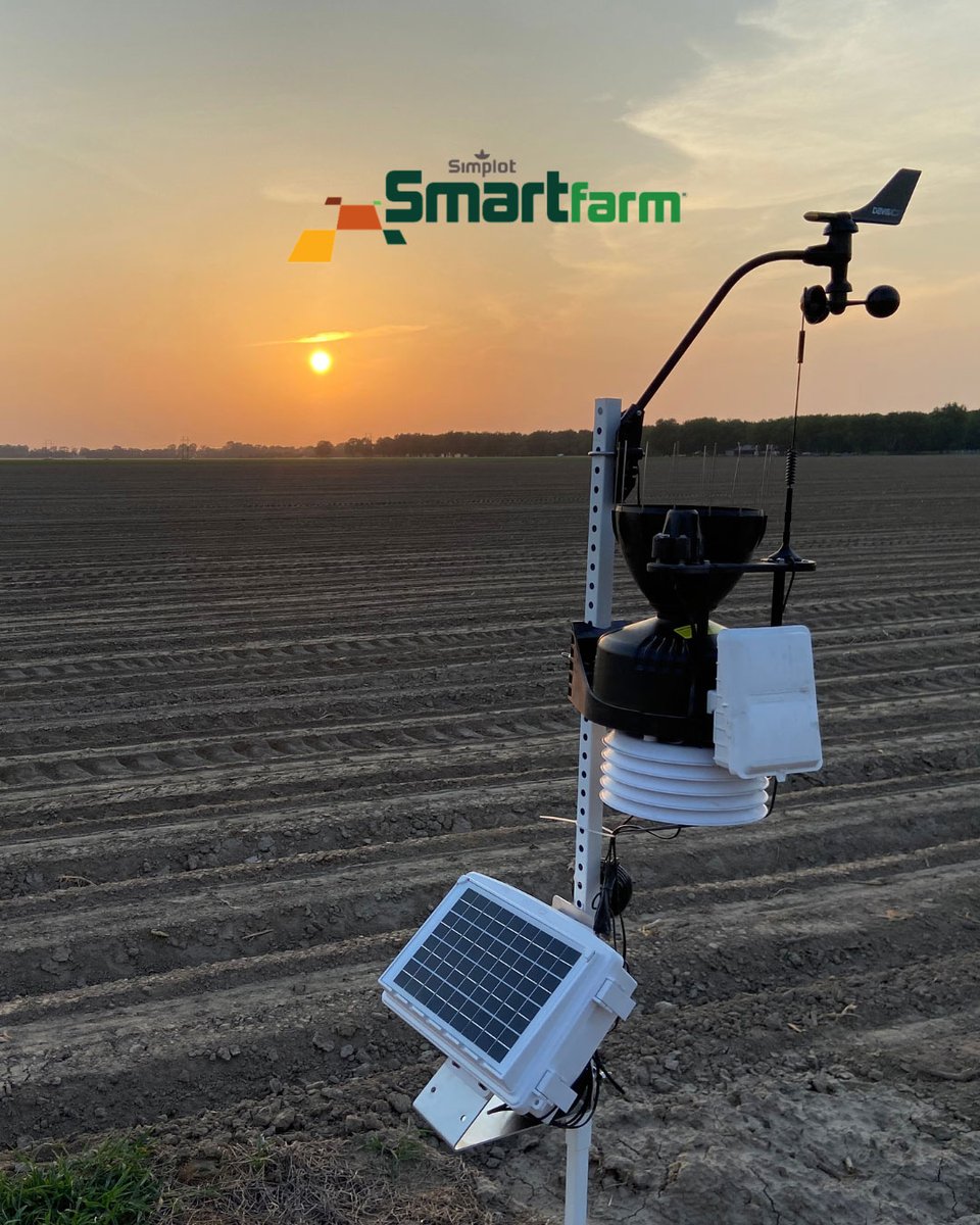 No matter what phase of this growing season you're in, Simplot SmartFarm® is here to help you manage your operation more efficiently and effectively. 🙌

👉 See how Simplot SmarFarm can help you achieve your yield goals every step of the way at 🔗 simplotgrowersolutions.com/services/smart…