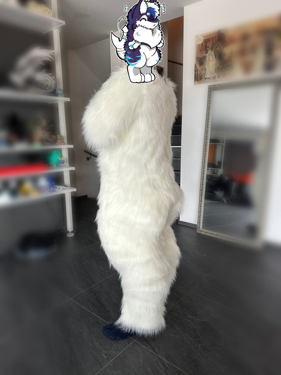 dragontailory's tweet photo. Tested around doing my bodysuit fully digitally in Blender and printing out the pattern :3 Made a cloth body without digitigrade first, to check my measurements and today a test in fur :3 Worked pretty well, fit’s perfectly, just a bit too poofy around the cheeks xD @furjaxx https://t.co/1gp4uPpZqp