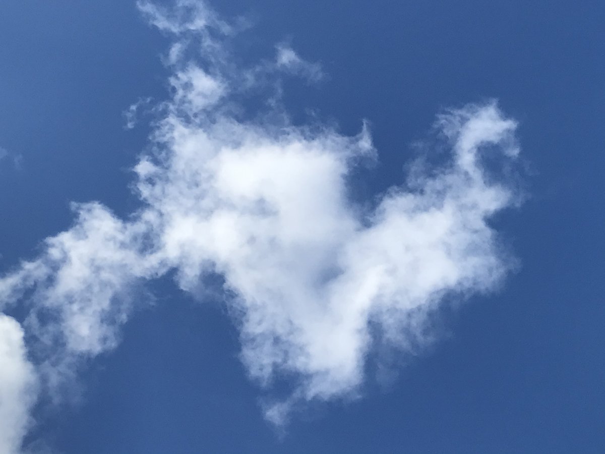 @Urbanartist2 #StrangeButTrue
Rememberin’💔ones gone,sittin’n yard
🗣️📱friend
       Look up 👁️🤍heart-shaped cloud drift by!
🤍Got ur message Dad! miss u always
@ SAME T!ME
Friend kms away, w/all white clouds☁️💙☁️ above 👁️ 💙heart-shaped hole of blue sky showing through   
 @mehganzonneveld