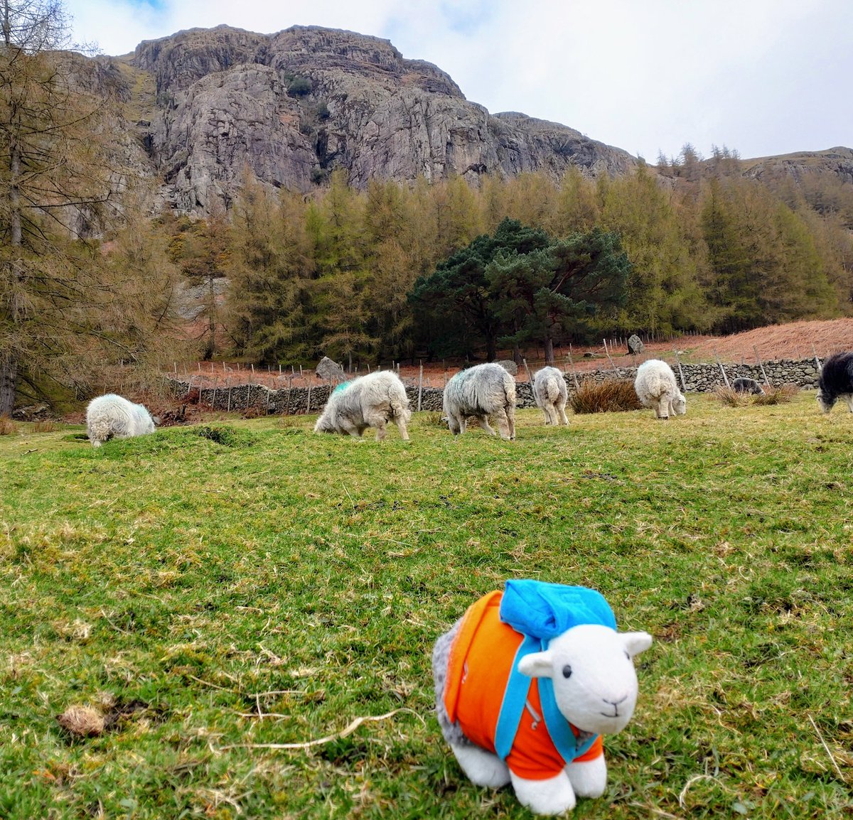 James Scutt - CTS tweet media