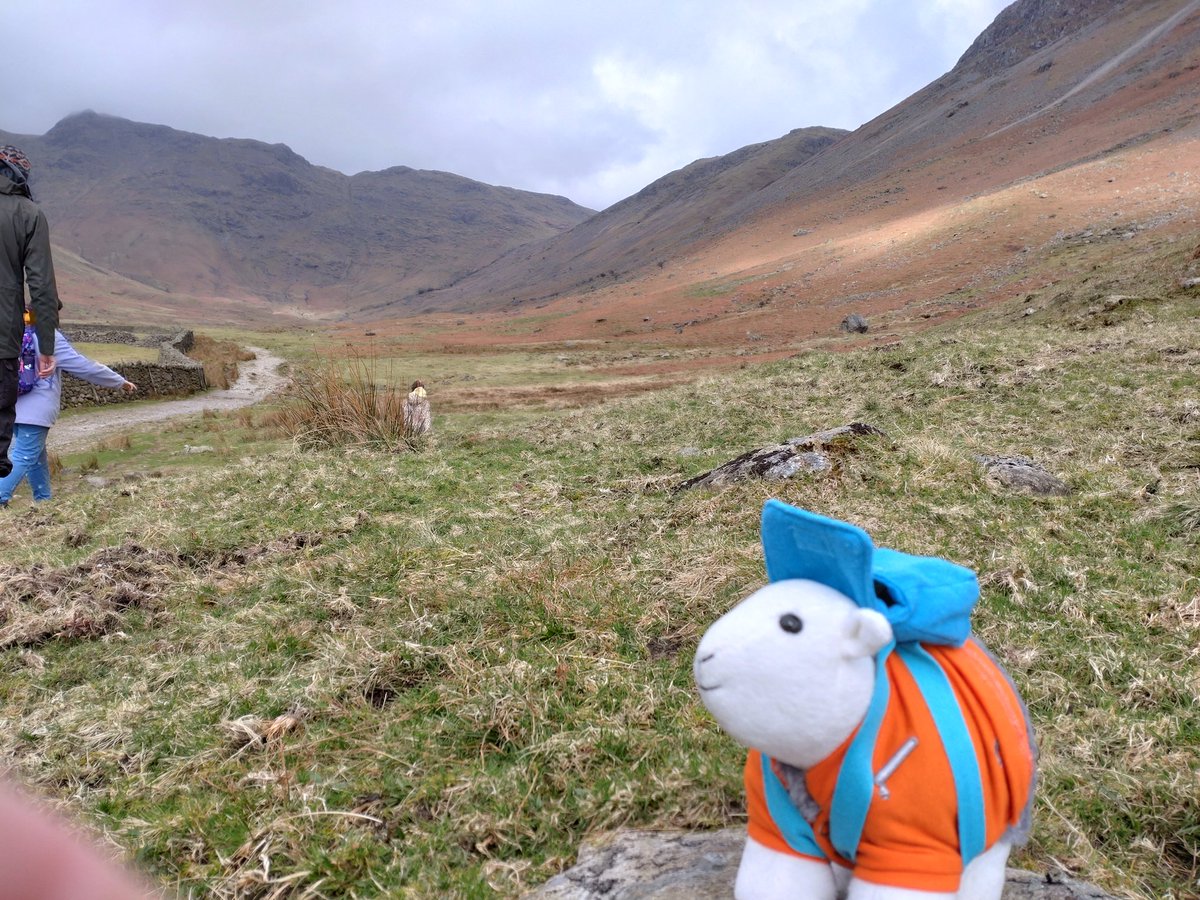 James Scutt - CTS tweet media