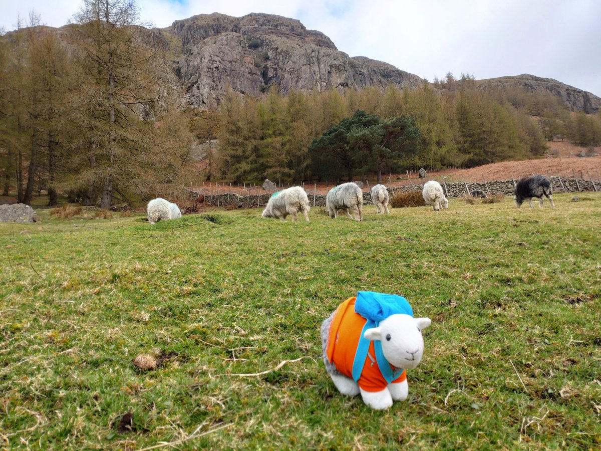 James Scutt - CTS tweet media